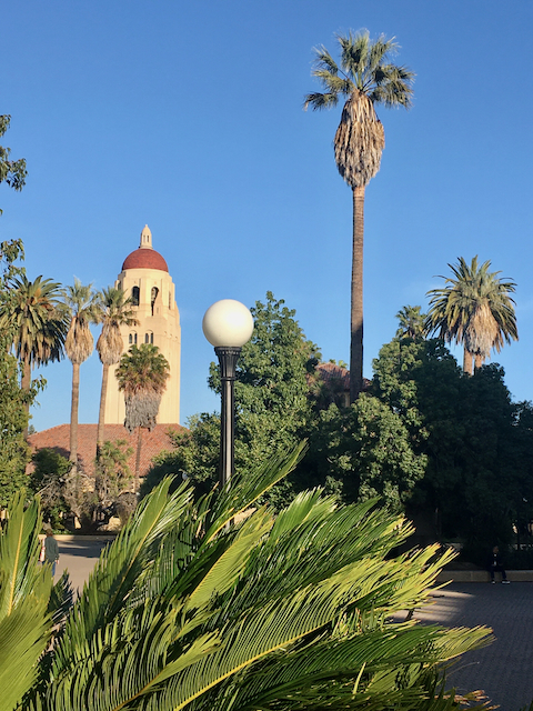 Stanford University